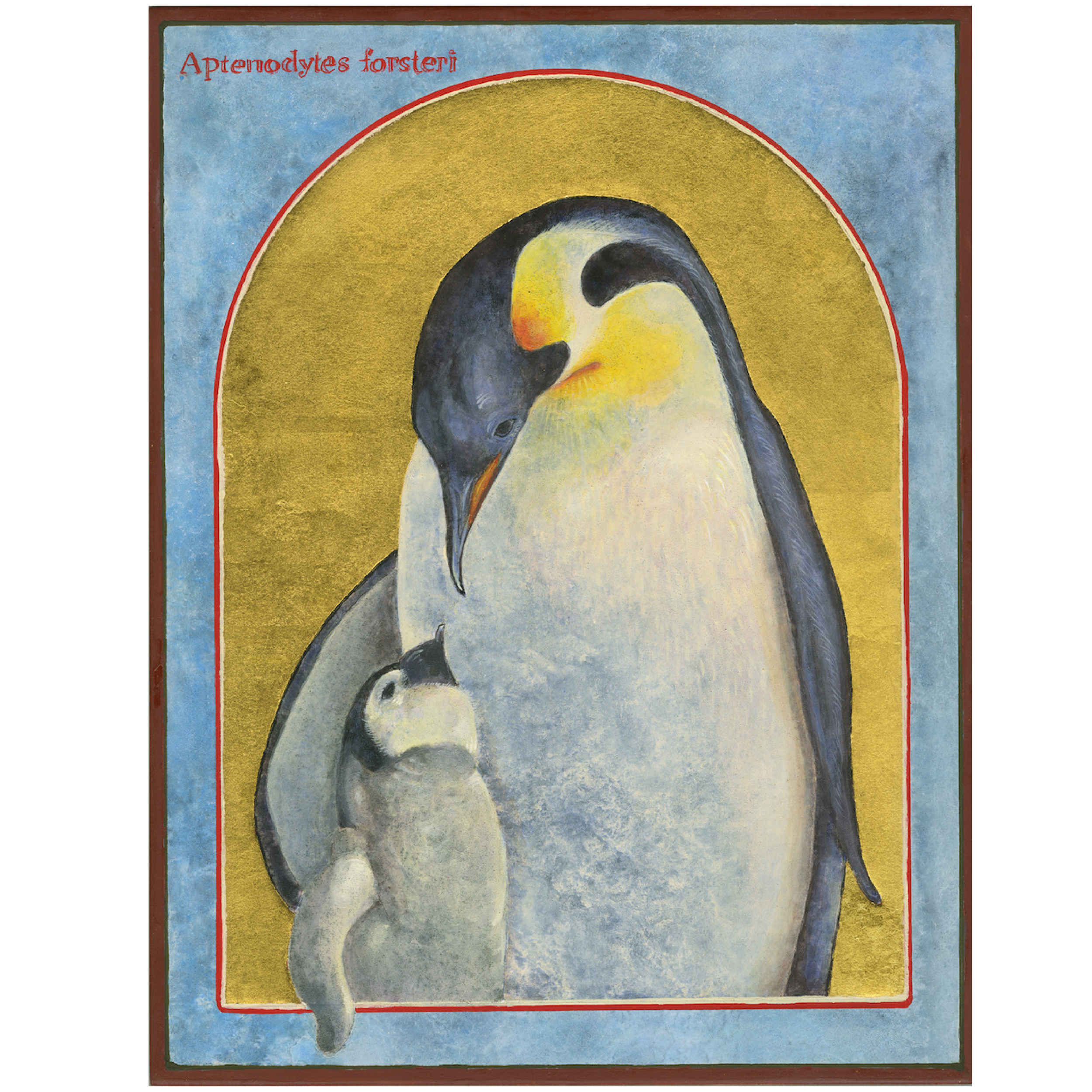Emperor+Penguin-
